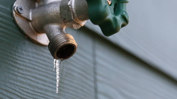 Best Plumbing Inspection Services  in Loxley, AL